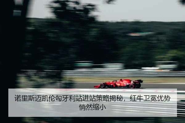 nuo-li-si-mai-kai-lun-xiong-ya-li-zhan-jin-zhan-ce-lve-jie-mi-hong-niu-wei-mian-you-shi-qiao-ran-suo-xiao-2-951.jpg