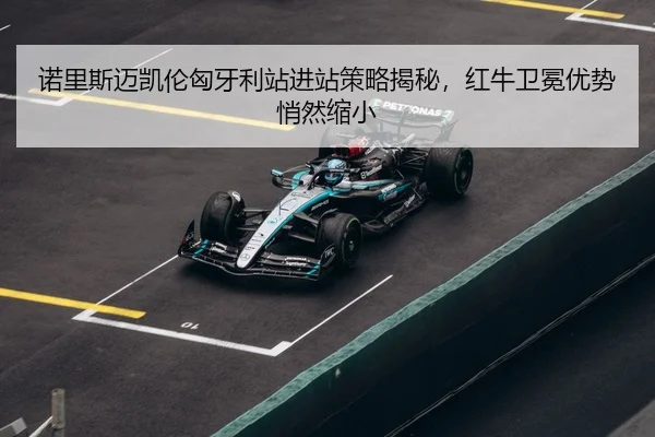 nuo-li-si-mai-kai-lun-xiong-ya-li-zhan-jin-zhan-ce-lve-jie-mi-hong-niu-wei-mian-you-shi-qiao-ran-suo-xiao-3-571.jpg