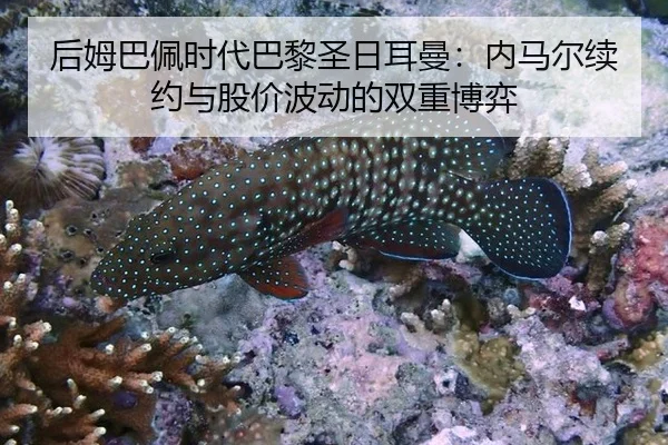 hou-mu-ba-pei-shi-dai-ba-li-sheng-ri-er-man-nei-ma-er-xu-yue-yu-gu-jia-bo-dong-de-shuang-chong-bo-yi-2-896.jpg