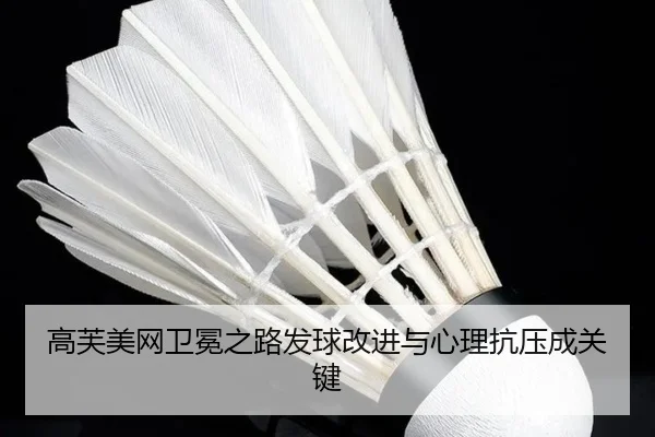 gao-fu-mei-wang-wei-mian-zhi-lu-fa-qiu-gai-jin-yu-xin-li-kang-ya-cheng-guan-jian-3-215.jpg